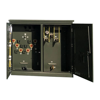 ৩০০ কেভি থ্রি ফেজ প্যাড মাউন্টড অয়েল ডুমারড ডিস্ট্রিবিউশন ট্রান্সফরমার ২৪.৯৪ কেভি