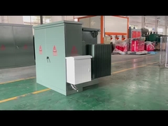 3 ফেজ প্যাড মাউন্ট ট্রান্সফরমার